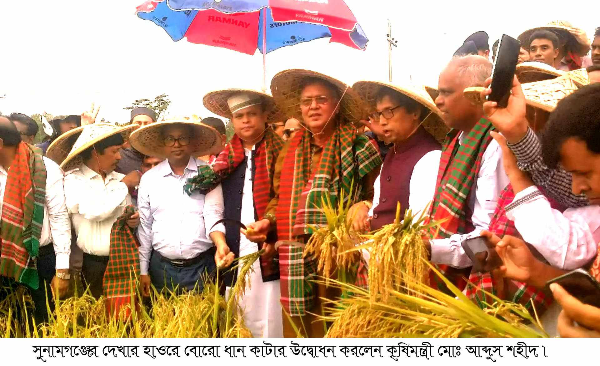 সুনামগঞ্জের দেখার হাওরে বোরো ধান কাটার উদ্বোধন করলেন কৃষিমন্ত্রী ড. মোঃ আব্দুস শহীদ এমপি